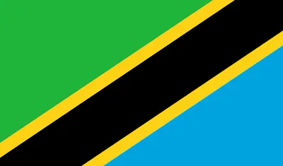 Tanzania Flag