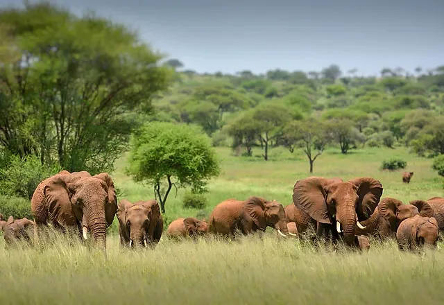 Serengeti National Park