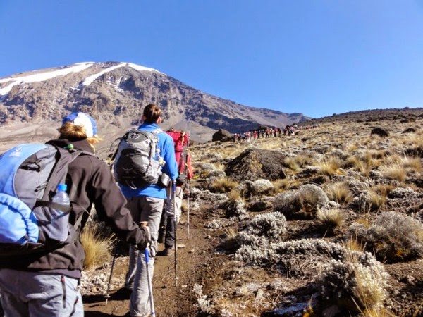 Kilimanjaroa Trekking